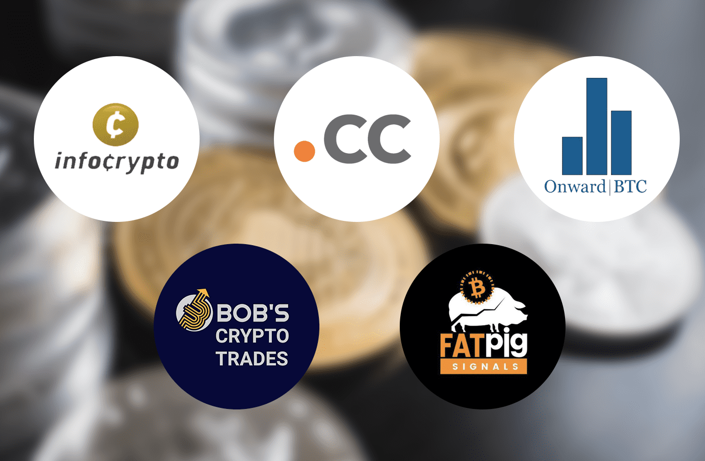 15+ Best Pump and Dump Cryptocurrency Groups on Telegram ...