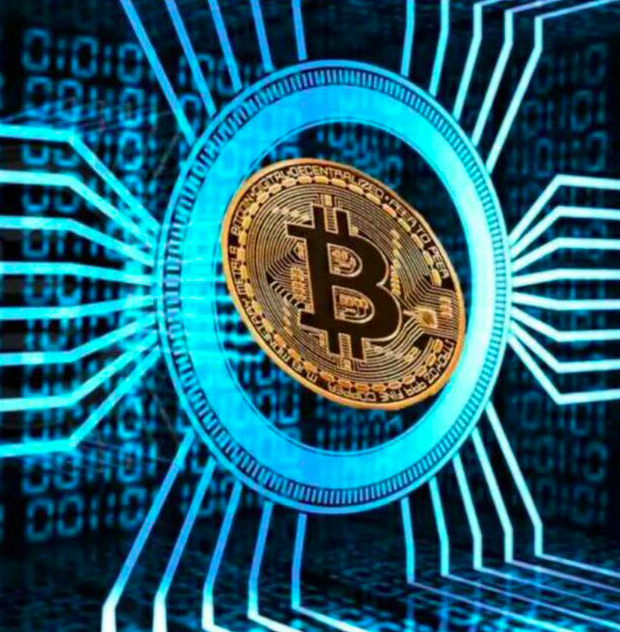 universal crypto signalai telegrama