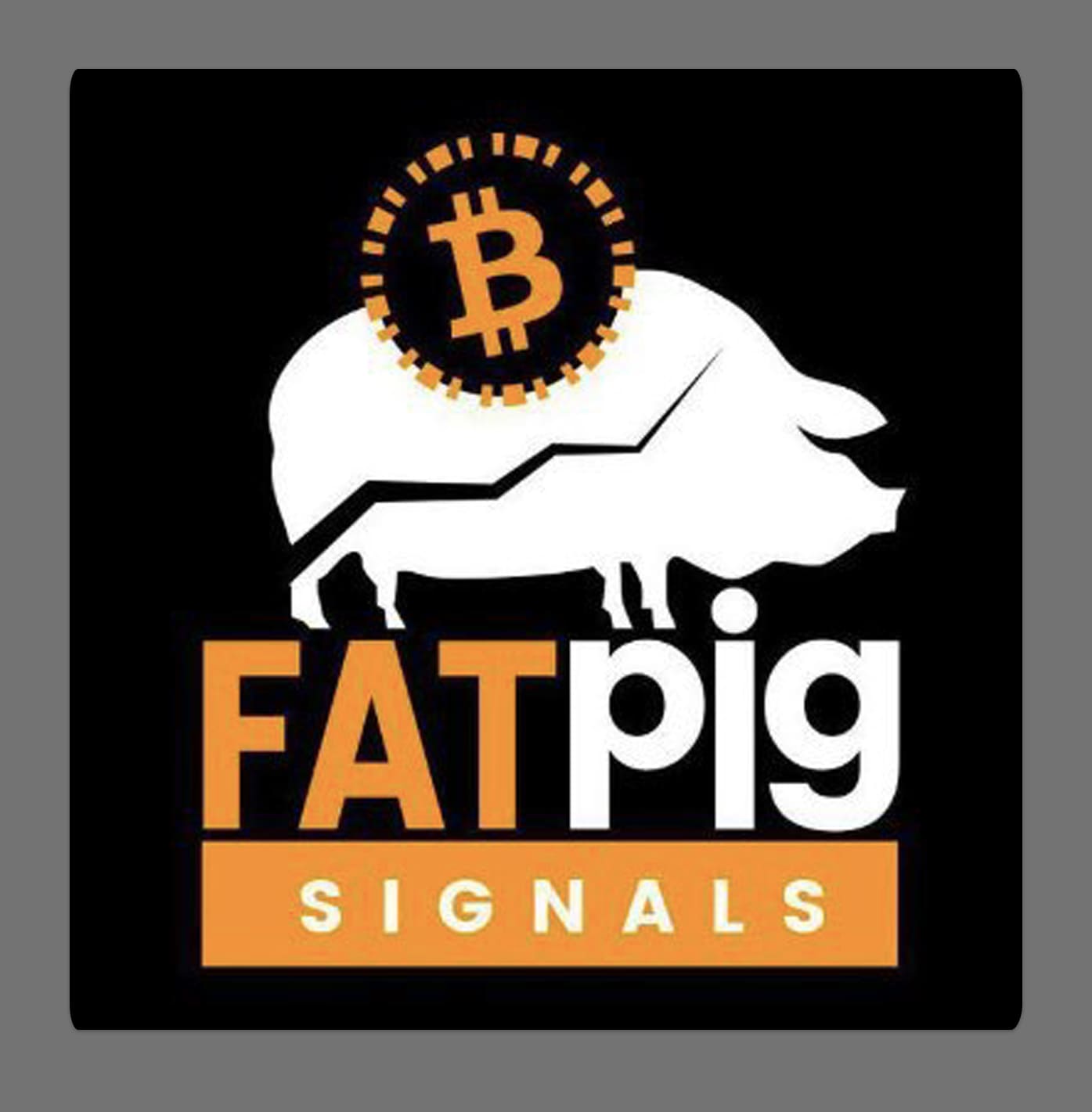 Fat Pig Signals: Paid Crypto Signals on Telegram Review ...