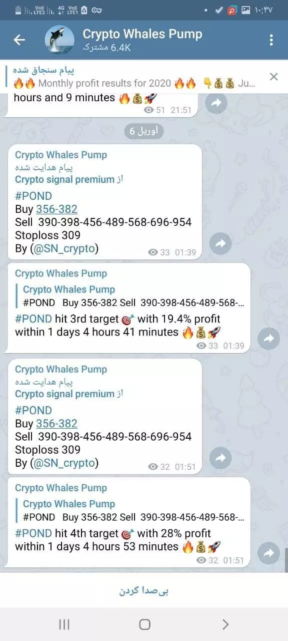 Safetrading audit of Crypto Whales Pump channel 