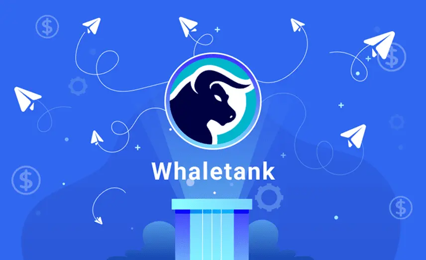 Whaletank signals review 2025